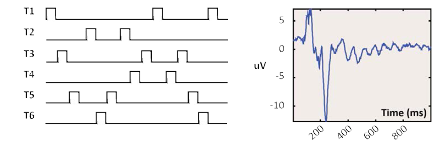 t-VEP기반 BCI의 시각 자극 시퀀스와 VEP 파형 예시.