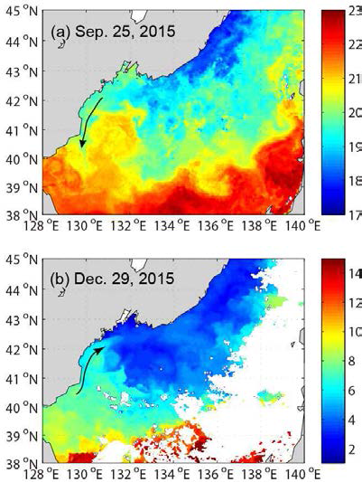 MODIS 해표면 수온에 나타난 북 한 연안의 해류