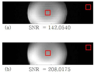 3mm² 해상도의 water phantom 영상으로 붉은 박스를 ROI로 SNR 확인