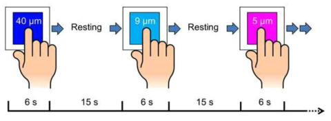 fMRI 실험 패러다임