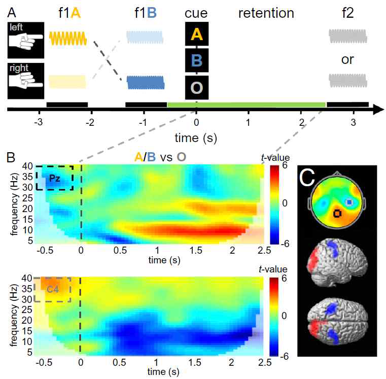 자극물에 따른 촉각 working memory EEG 반응