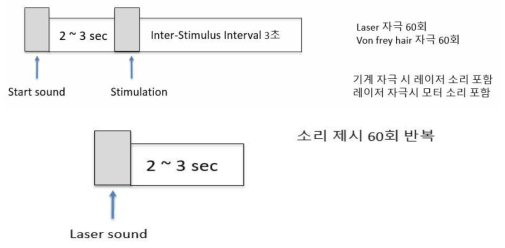 레이저와 동역학 촉각 자극 EEG 비교 실험 설계