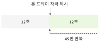 Von frey hair 자극 세션 실험 디자인