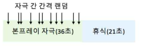 Von frey hair 자극 Block 실험 디자인