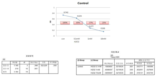 H2O2를 이용한 Merkel cell의 생존율 측정(positive control)
