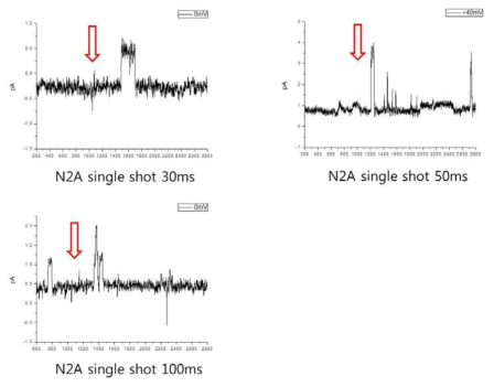 N2A cell 에서의 Laser single shot 자극에 의한 이온 통로 반응