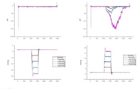 HSPC-1을 이용한 Merkel cell 에서의 Positive pressure 와 Negative pressure의 이온 채널 기록