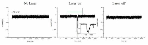 Merkel cell 에서의 Laser 자극에 의한 이온 통로 반응