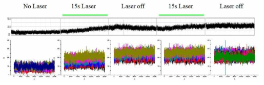 Merkel cell 에서의 continuous laser 자극 시 외향전류 활성화