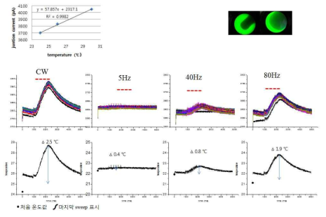 세포 관류액 온도 변화에 의한 open pipette 과 관류액 사이 junction current 변화