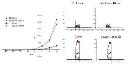 Merkel 세포주에서 시간이 지나서 자발 적으로 생긴 전류가 아닌, laser 자극-specific한 전류임을 규명함