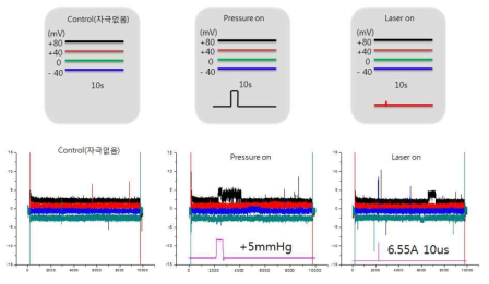 mechanical 과 809nm laser 자극시 유사 경향의 이온채널 활성화