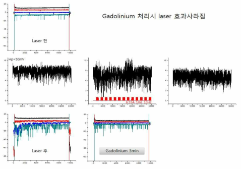 laser 활성화 채널의 누적효과가 Gadolinium 처리시 사라짐