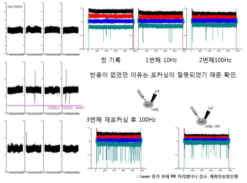 laser focusing 중요도와 Ruthenium Red 처리시 사라짐