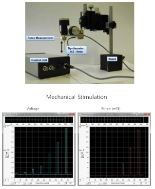 기계적 자극을 위한 장치 및 전압에 따른 힘의 크기