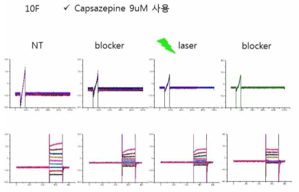 장시간 레이저에 의해 증가된 내향성 전류가 Capsazepine (TRPV1)에 의해 억제됨