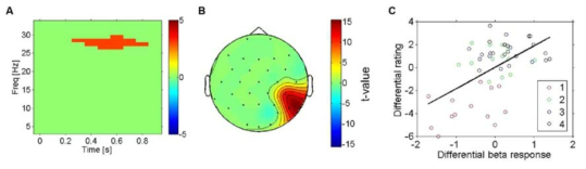 촉각 자극에 대한 선호도와 우반구 베타파 파워변화의 상관관계