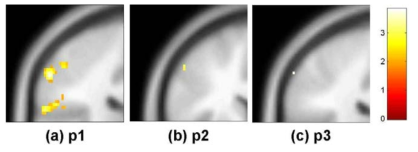 검지(d2)의 somatosensory cortex 영역 활성화