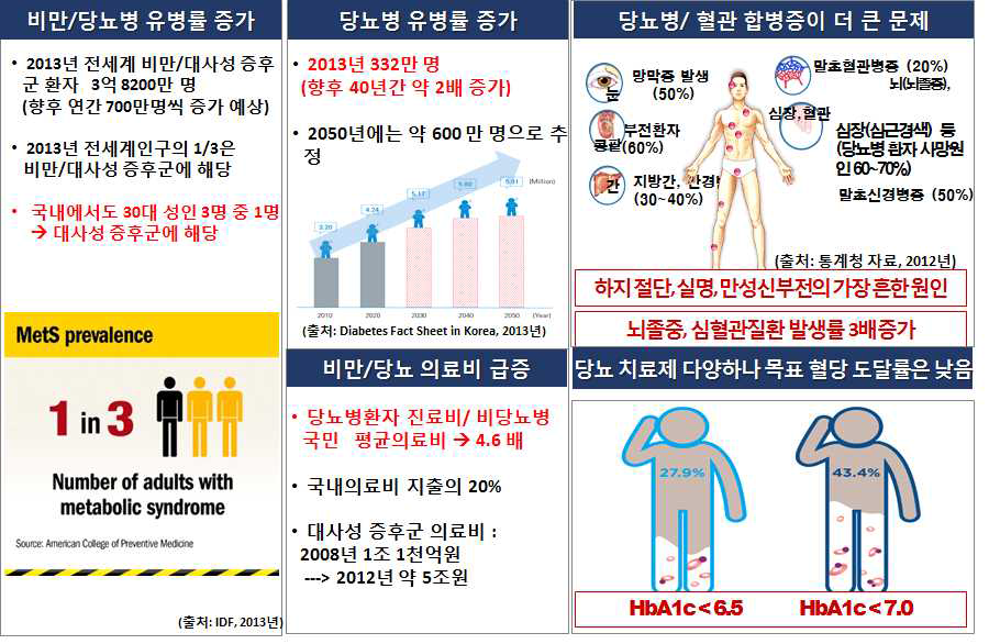 당뇨병의 사회/경제적 부담 증가