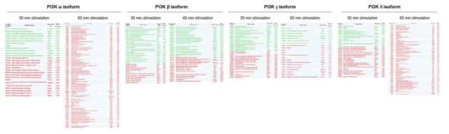 RAW264.7 대식세포에서 TLR에 의해 매개되는 phosphoproteome profile에 미치는 PI3K isoform의 영향.