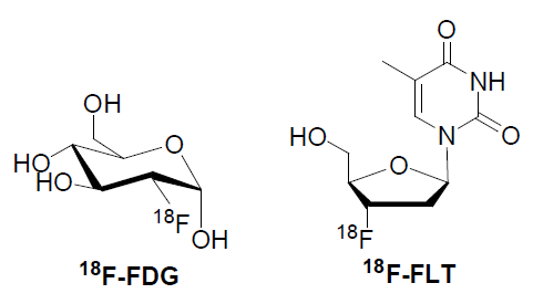 FDG 및 FLT.