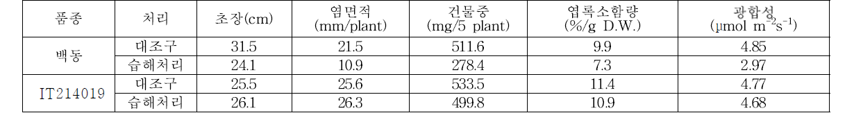 10일간 습해 처리 후 보리 유묘의 엽록소함량 및 광합성 특성