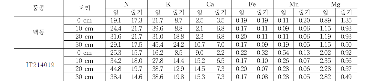 수잉기에 10일간 지하수위처리에 따른 질소 및 몇가지 무기이온 함량(g/kg)