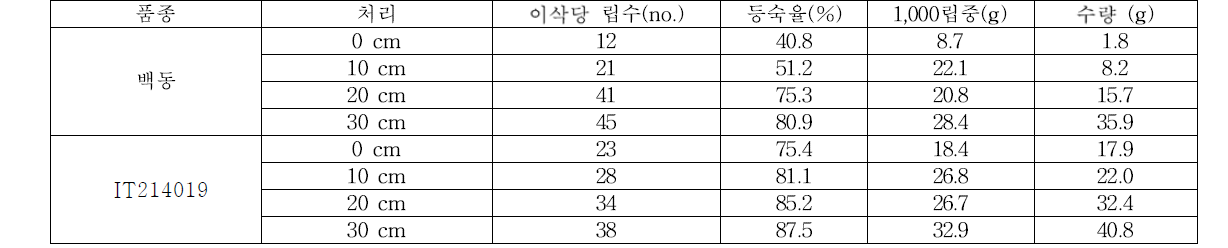 수잉기에 10일간 지하수위처리에 따른 보리의 수량과 수량구성요소