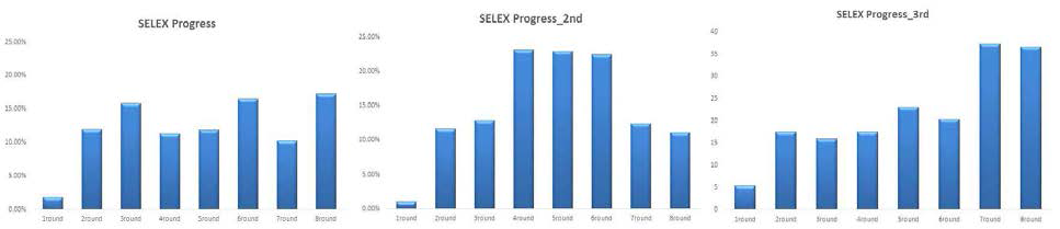 H5N2 조류인플루엔자 바이러스에 대한 3번 SELEX 수행 및 각각의 SELEX Progress