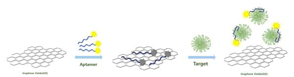 Graphene Oxide 기반의 FRET 플랫폼 모식도