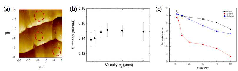 (a) 머리카락 샘플의 원자현미경 이미지, (b) 공기중에서 측정한 프로브 속도(vp)에 따른 머리카락의 탄성 변화, (c) 액중에서 측정한 세 물질 (유리 기판, 콜라젠 기판, FTMS) 프로브 속도에 따른 FD 곡선