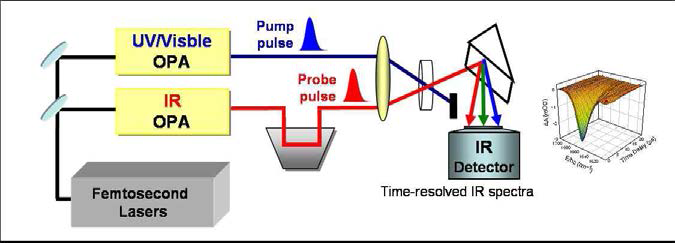 펨토초 적외선 분광 실험 장치의 개략도