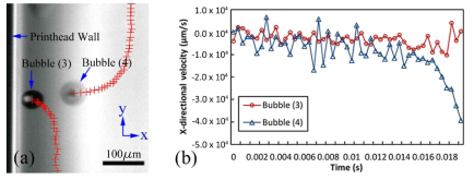 Attractive motion between two oscillating entrained bubbles.