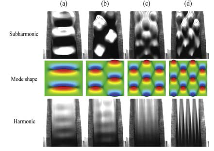 Top view of the capillary wave with (a) fa = 70 Hz, (b) fa = 120 Hz, (c) fa = 230 Hz, and (d) fa = 290 Hz.