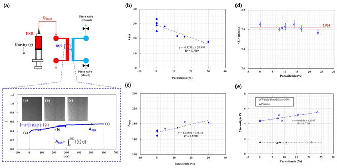 Microfluidic-based measurement of erythrocyte sedimentation rate (ESR) for biophysical assessment of blood samples.