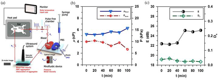 (a) Schematic diagram of the hybrid extracorporeal system composed of ultrasound imaging and microfluidic device. Temporal variation of (b) blood viscosity (μBlood) and pressure at the abdominal aorta (P), and (c) the echogenicity (E) and disaggregation of red blood cell aggregates (DS).