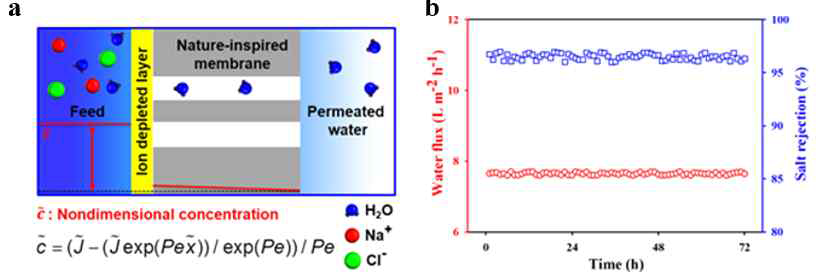 (a) Highly charged surface forms an ion-depleted layer in front of the membrane. Water molecules pass through the membrane, whereas sodium ions and chloride ions are rejected. (b) Temporal variations of the water flux and salt rejection rate across the nature-inspired membrane.