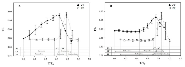 Typical cyclic volume variation of the CP and PP organs of a female (A) and a (B) male mosquito. Light intensity values are expressed in the reverse direction.