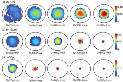 Variations in particle concentration in the tube cross-section.