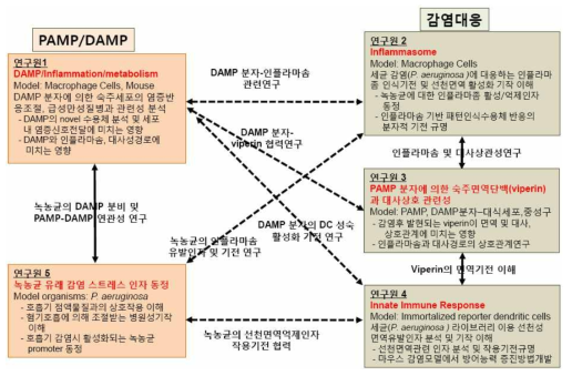 공동연구원간 역할 분담의 개략도.