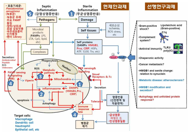 본 제안과제 요약과 본 신청 과제를 통하여 심화 발전시키고자하는 연구내용.