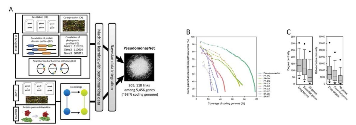 PseudomonasNet의 구성 및 평가 A. 녹농균에 대한 co-functional network 구조요약. KEGG pathway annotation을 통한 유전자 쌍 비교분석결과. C.PseudomonasNet을 통해 얻은 항생제 표적 및 필수 유전자 분석