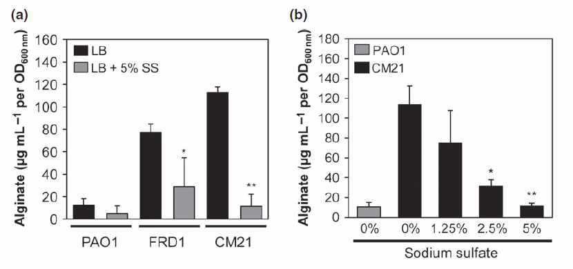 녹농균에서 alginate 생산을 억제하는 물질로서 sodium sulfate의 동정