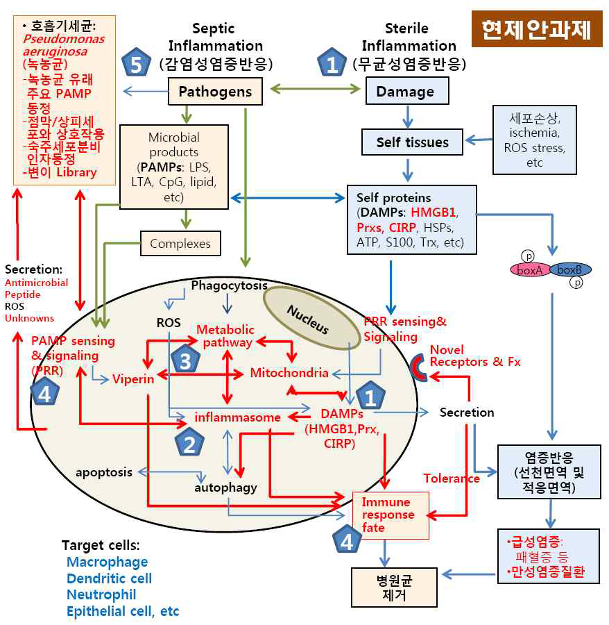 현 제안과제의 개요