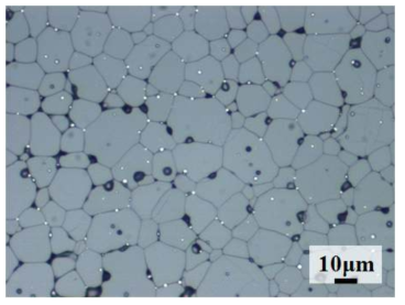 모의 사용후핵연료 소결체 (60 GWd/mtU)의 미세 조직 (Etched, 광학 현미경, 500배)