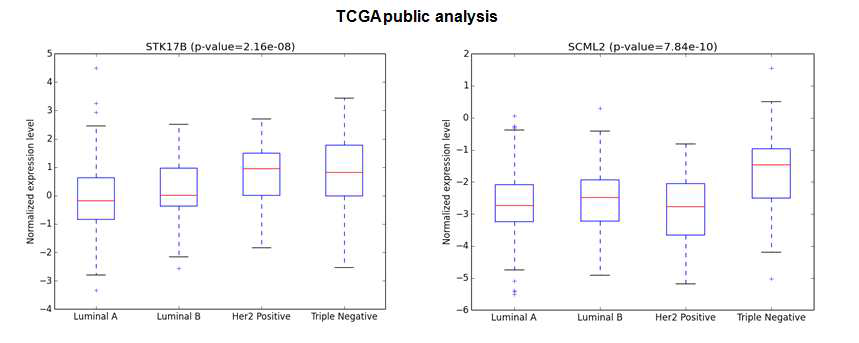 TCGA를 이용한 다수의 유방암 환자에서 DRAK2와 SCML2 유전자의 발현 분석