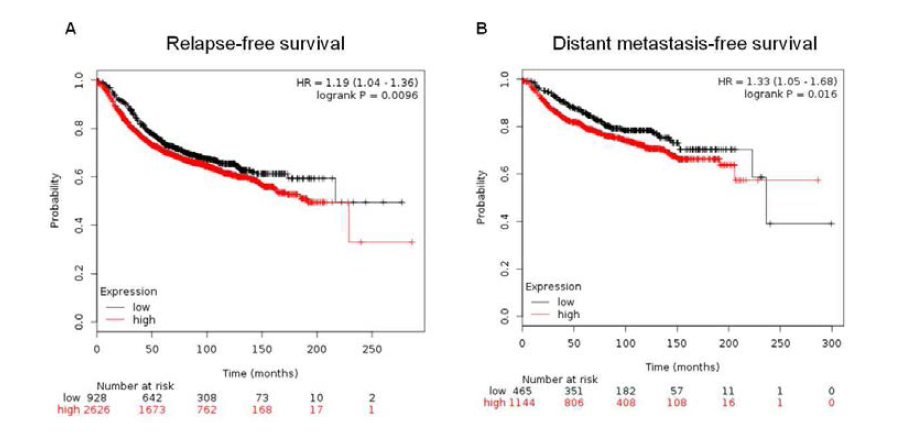 DRAK2 발현에 따른 유방암 환자 생존율의 meta-analysis 분석