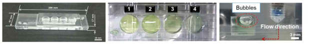 제작한 3차원 관류 세포배양기(좌), 선형농도구배 생성(중앙) 및 기포 포집(우)의 기능 확인