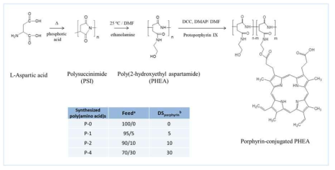 적혈구 모사 포피린 분자가 도입된 폴리아미노산 분자 합성 과정