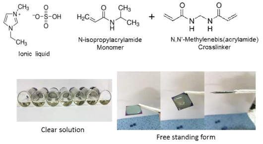 수용성 경화성 이온젤 및 free standing form 형태의 이온젤